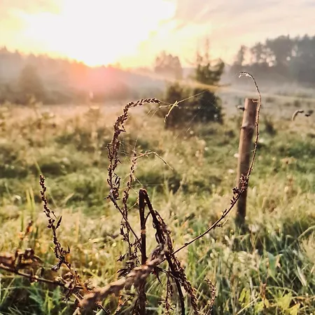 Za Lasem Nad Woda Holiday home