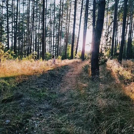 Holiday home Za Lasem Nad Woda