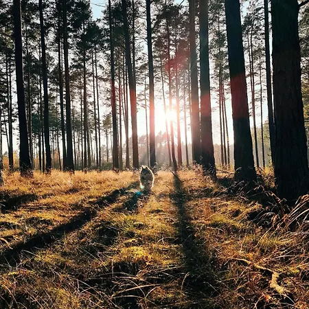 Za Lasem Nad Woda Holiday home *