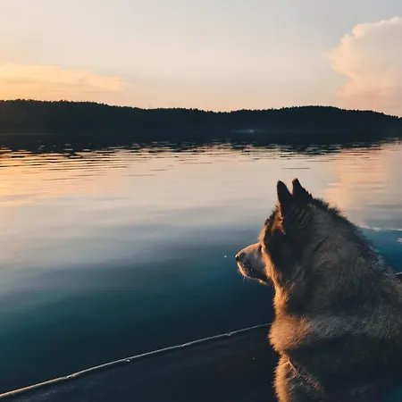 Za Lasem Nad Woda Narty