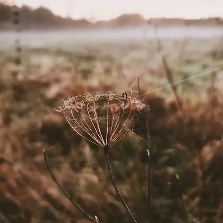 Za Lasem Nad Woda Holiday home Narty