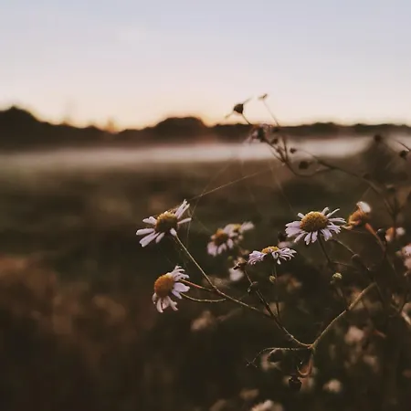 Za Lasem Nad Woda * Narty