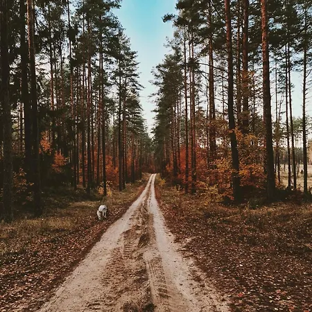 Holiday home Za Lasem Nad Woda