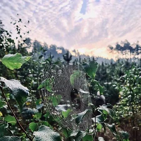 Za Lasem Nad Woda Holiday home *