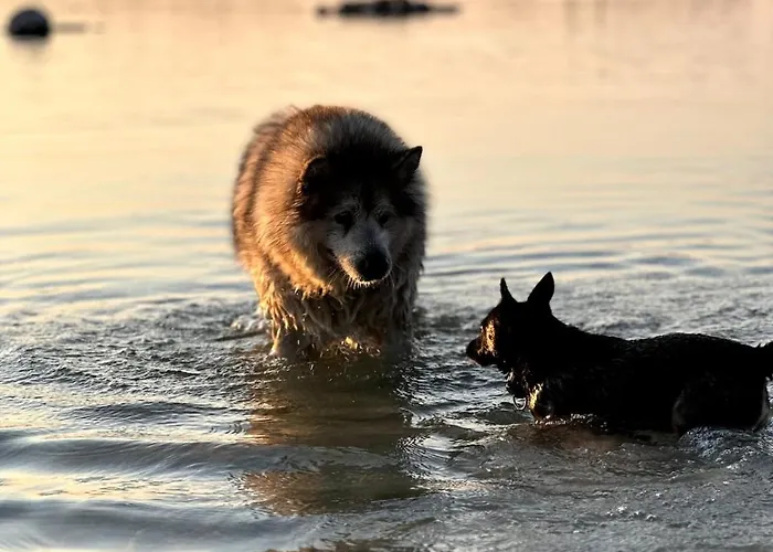 Holiday home Za Lasem Nad Woda