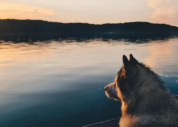 Za Lasem Nad Woda Narty