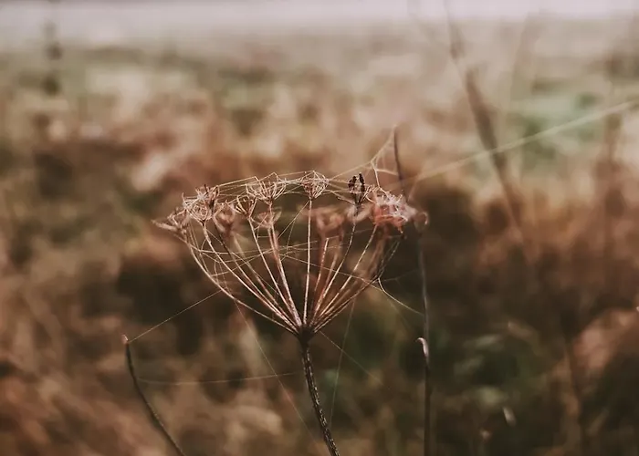 Za Lasem Nad Woda Holiday home Narty