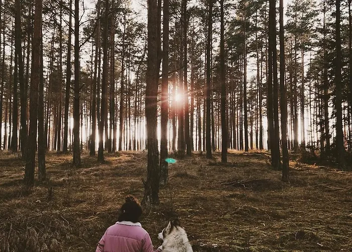 Holiday home Za Lasem Nad Woda *