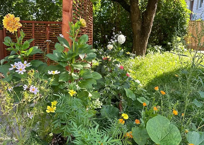 Za Lasem Nad Woda * Narty